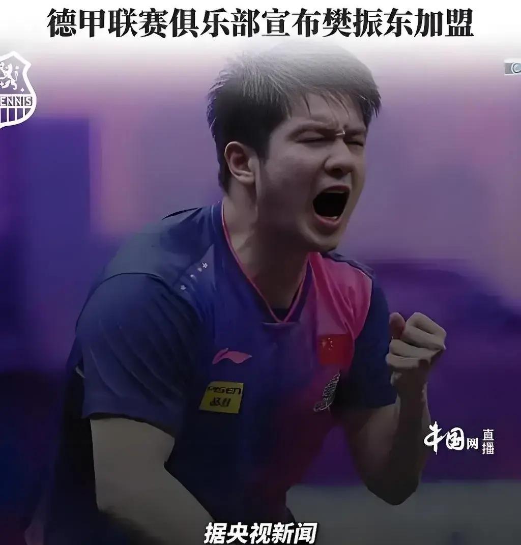 中国乒乓球队鏖战英国乒乓球队，波尔高光表现
